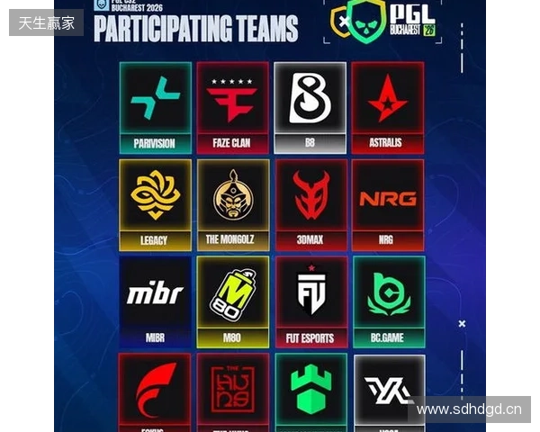 MIBR将代替paiN参加PGL布加勒斯特2026 MIBR将代替paiN参加PGL布加勒斯特2026