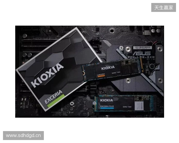 读写打穿天花板，再战五年不是梦！铠侠VE10固态上手体验